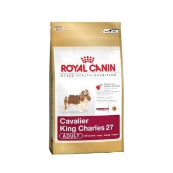Cavalier King Charles 1.5 Kg
