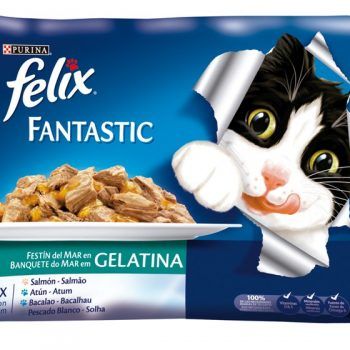 Felix Fantastic en Gelatina 12x100gr